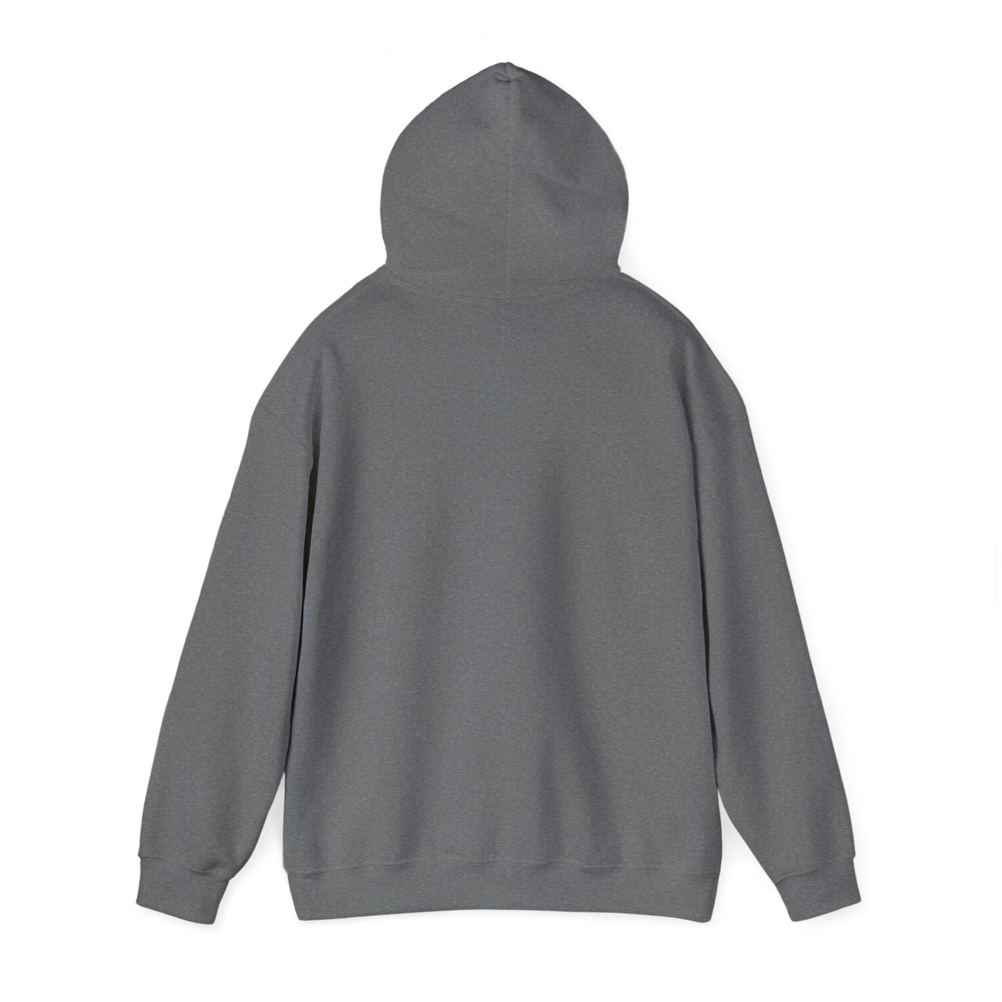 Mtn City Heavy Blend Hoodie